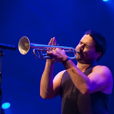 TheCatEmpire
