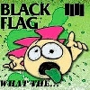 Cover Black Flag - What The...