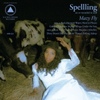 Cover Spellling - Mazy Fly