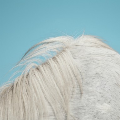 Widowspeak