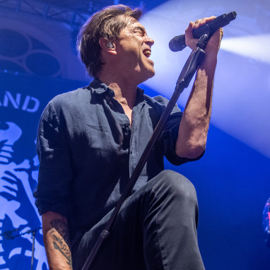 Die Toten Hosen