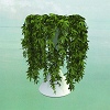 Errors Lease Of Life cover