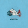 Cover Pinegrove - Amperland, NY
