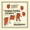 Parquet Courts Sunbathing Animal cover