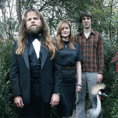 shearwater