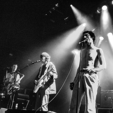FAT WHITE FAMILY