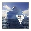 White Slice Antartica cover