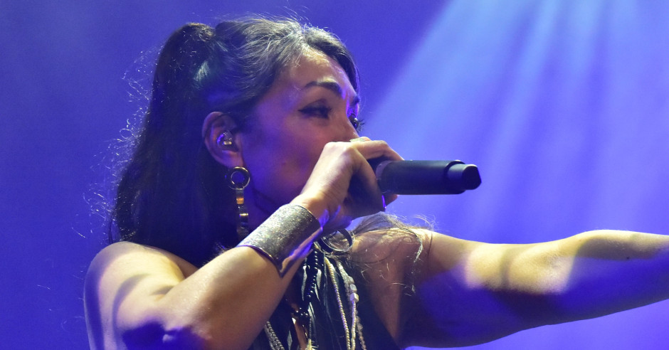 Festivalinfo review: Nacht Van De Nederpop - 01/02 - Patronaat
