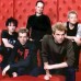 die toten hosen