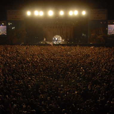 fiberfib 2014