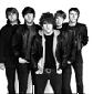The Pigeon Detectives