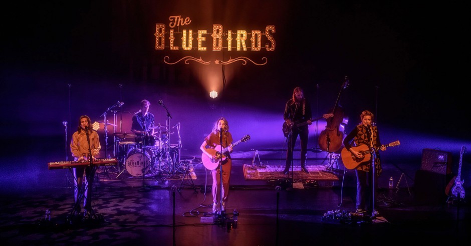 Festivalinfo review: The BlueBirds - 30/09 - Energiehuis