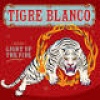Cover Tigre Blanco - Light Up The Fire