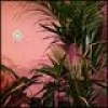 Beaty Heart Mixed Blessings cover