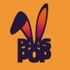 PaasPop Zieuwent 2019 logo