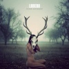 Festivalinfo recensie: Shane Alexander Ladera