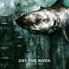 Cover Dry The River - Shallow Bed