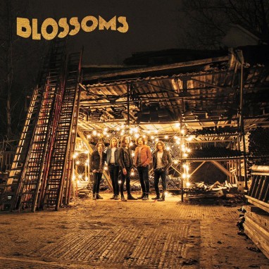 Blossoms