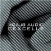 Blaqk Audio CexCells cover