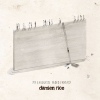 Festivalinfo recensie: Damien Rice My Favourite Faded Fantasy