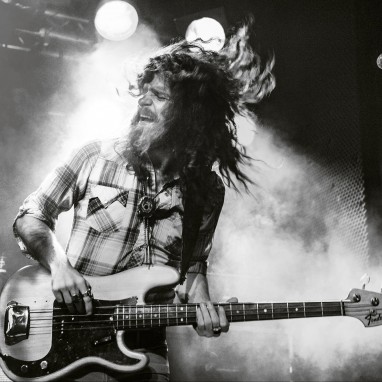 Sheepdogs