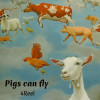 Festivalinfo recensie: 4Reel Pigs Can Fly