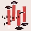 Cover Vanishing Twin - Choose Your Own Adventure