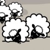 logo Where The Sheep Sleep