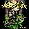 Toxic Holocaust From The Ashes Of Destruction cover