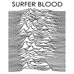 surferbloodnews