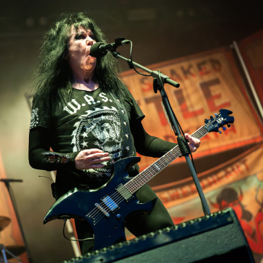 W.A.S.P. news_groot