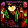 Cover Tropical Popsicle - Dawn Of Delight