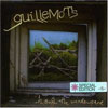 Guillemots - Through the windowpane