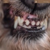 Cover Blanck Mass - World Eater