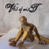 Cover Veil of Mist - Disenchantment