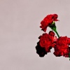 Cover John Legend - Love In The Future