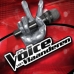 the voice vlaanderen