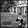 Cover Roosbeef - LUCKY