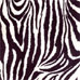 zebrastripes.jpg