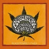 Brant Bjork Black Power Flower cover
