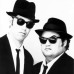 blues brotherband