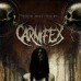carnifex