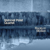 Mehmet Polat Quartet Roots In Motion cover