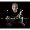 Cover Nico Waine Toussaint - Lonely Number