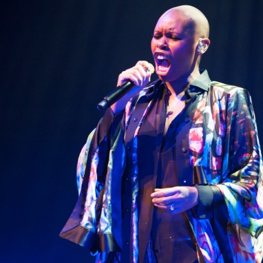 skunkanansie