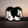 Cover Death From Above 1979 - The Physical World