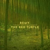 Cover Remy van Kesteren - The Red Turtle