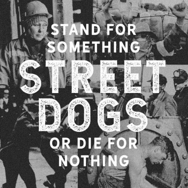 Street Dogs