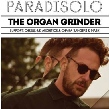 paradisolo organ grinder