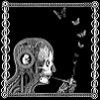 Cover Soen - Cognitive